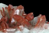 Natural, Red Quartz Crystal Cluster - Morocco #80562-3